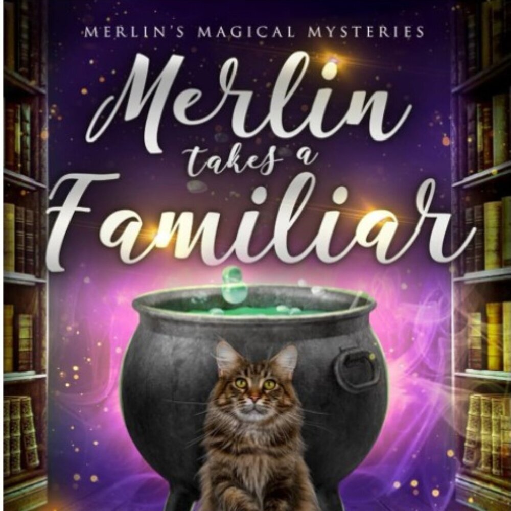 BOOK * Merlin Takes a Familiar BRAND NEW